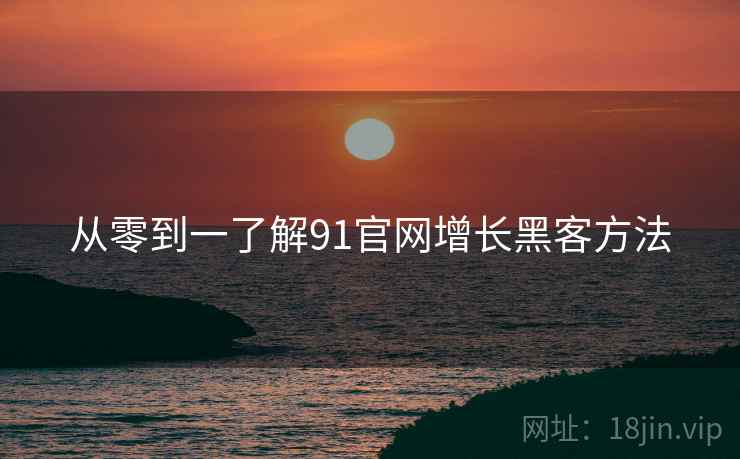 从零到一了解91官网增长黑客方法