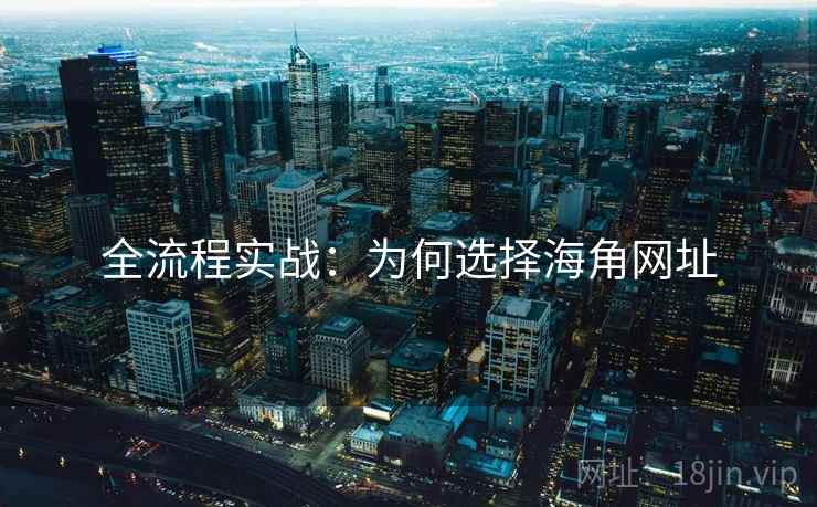全流程实战：为何选择海角网址