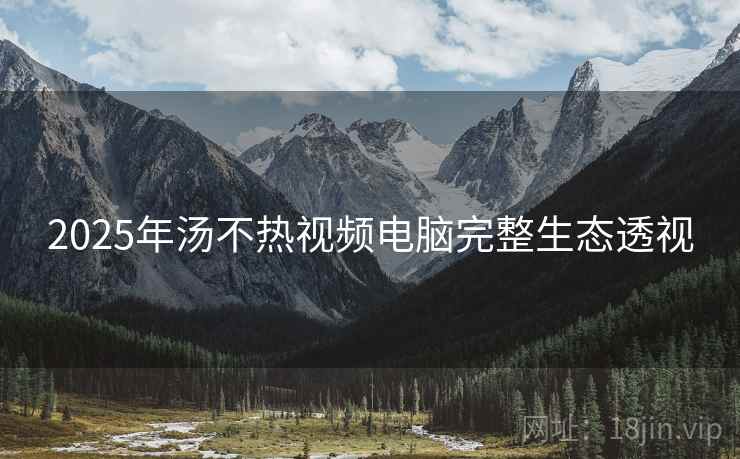 2025年汤不热视频电脑完整生态透视