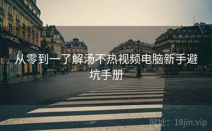 从零到一了解汤不热视频电脑新手避坑手册