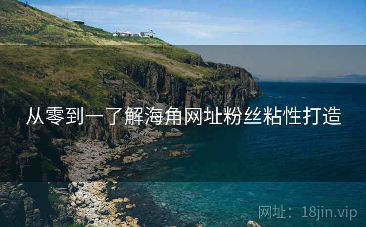 从零到一了解海角网址粉丝粘性打造
