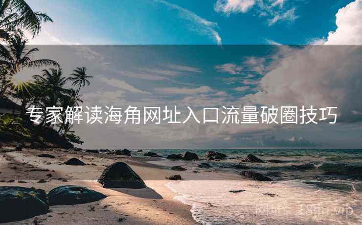 专家解读海角网址入口流量破圈技巧
