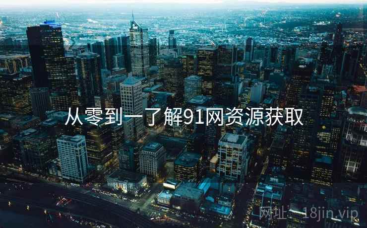 从零到一了解91网资源获取