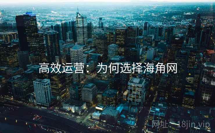 高效运营：为何选择海角网